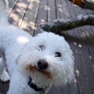 Meet your Posher, Sarah